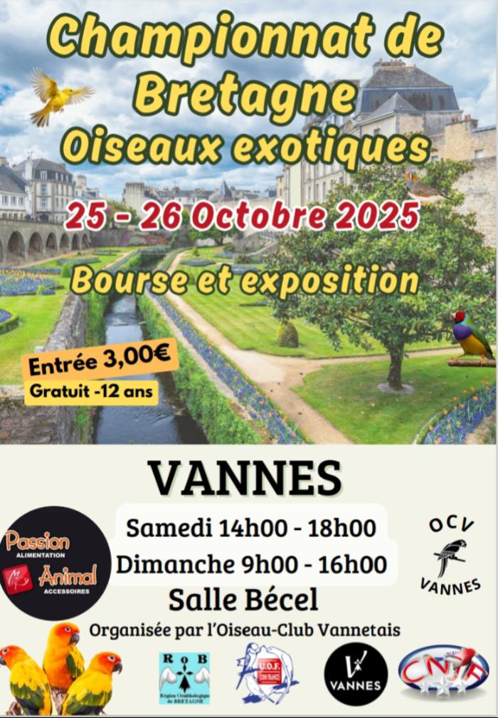 Affiche du concours