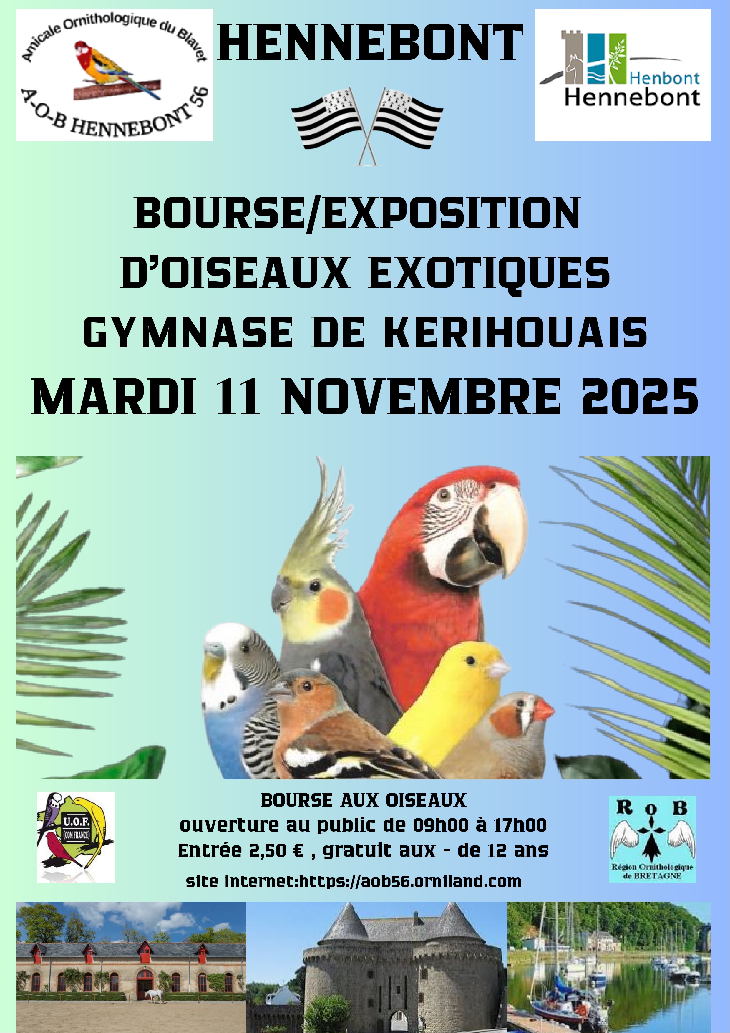 Affiche du concours