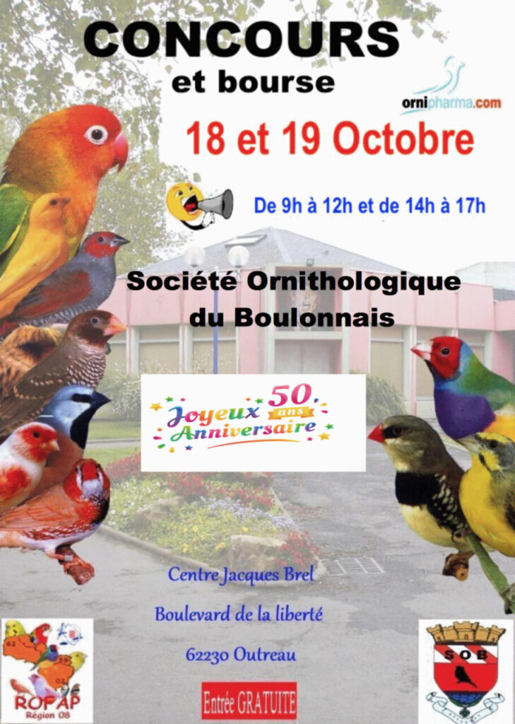 Affiche du concours