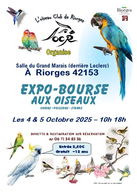 Affiche du concours