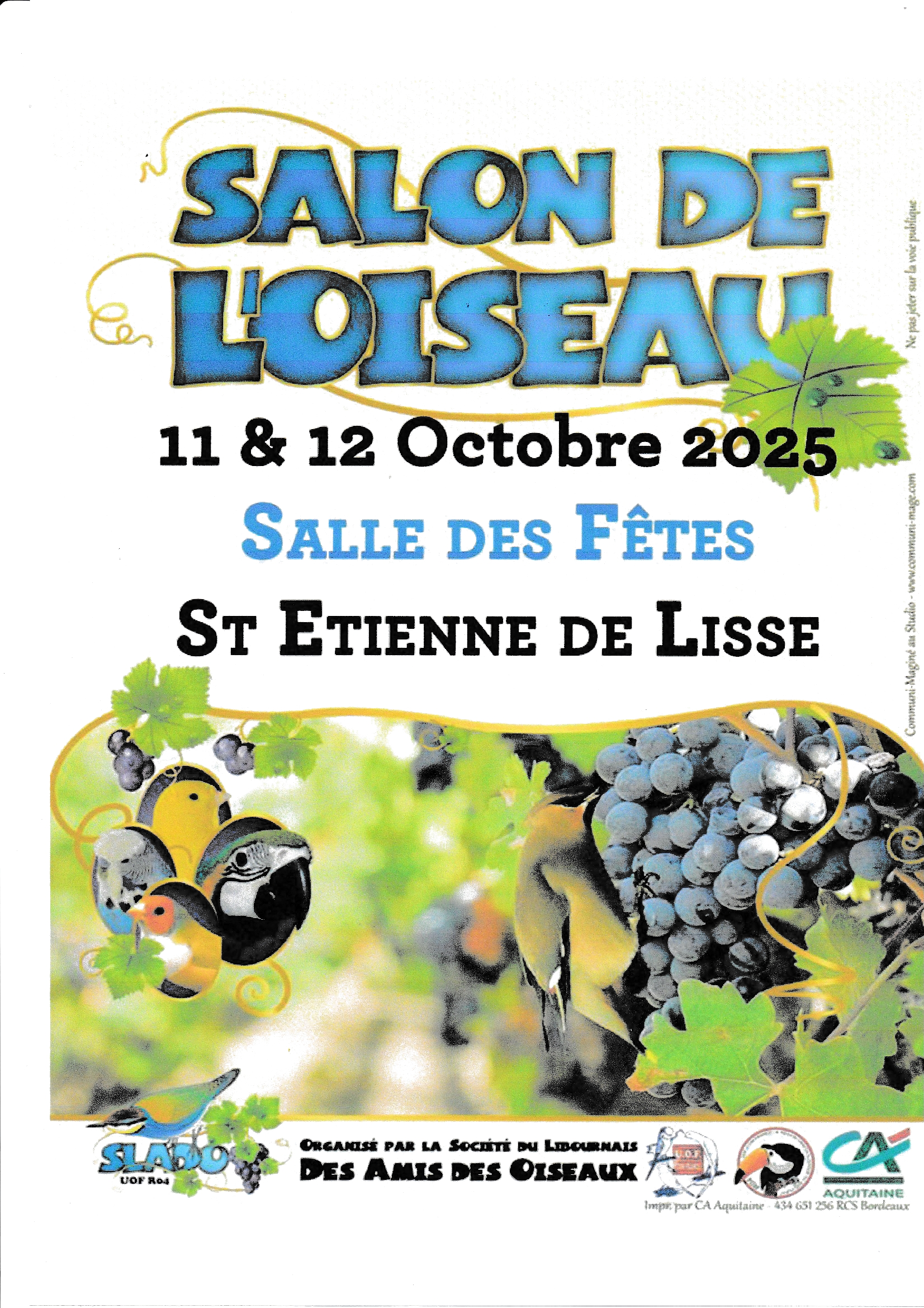 Affiche du concours