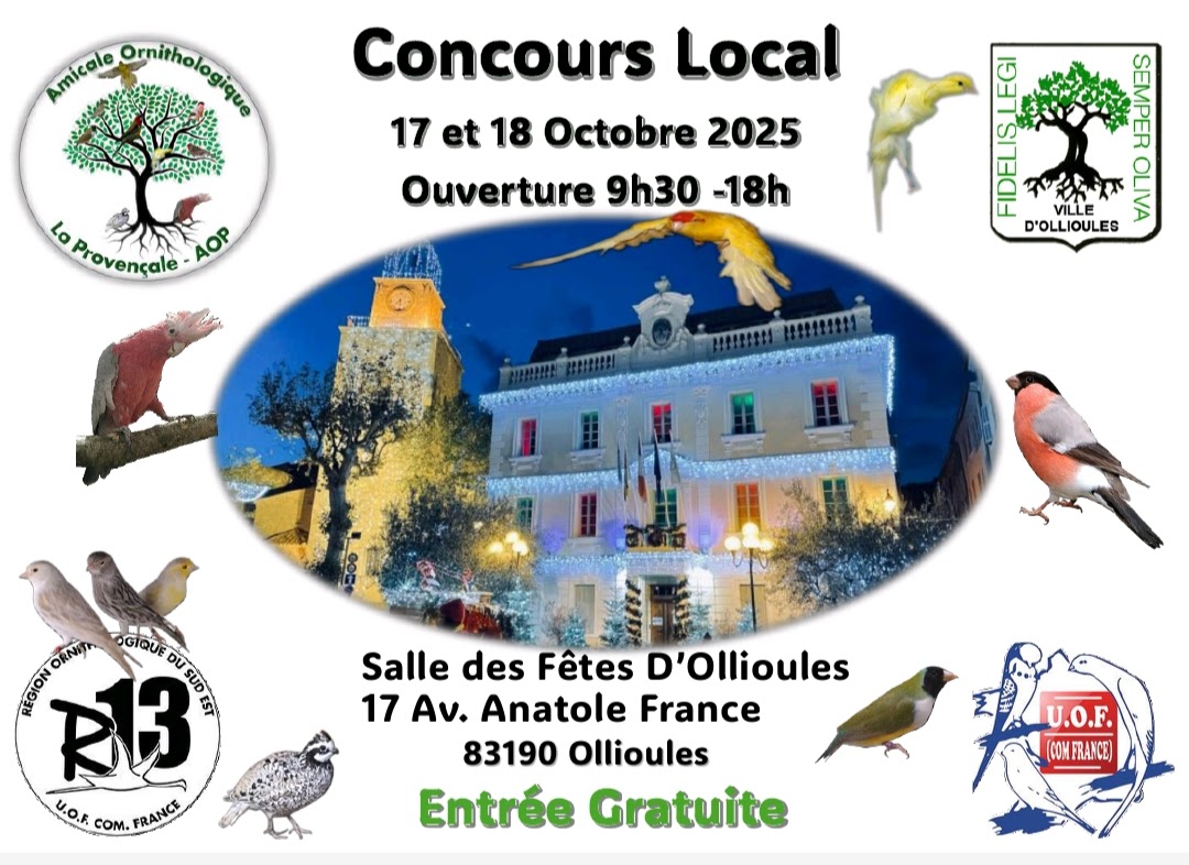 Affiche du concours