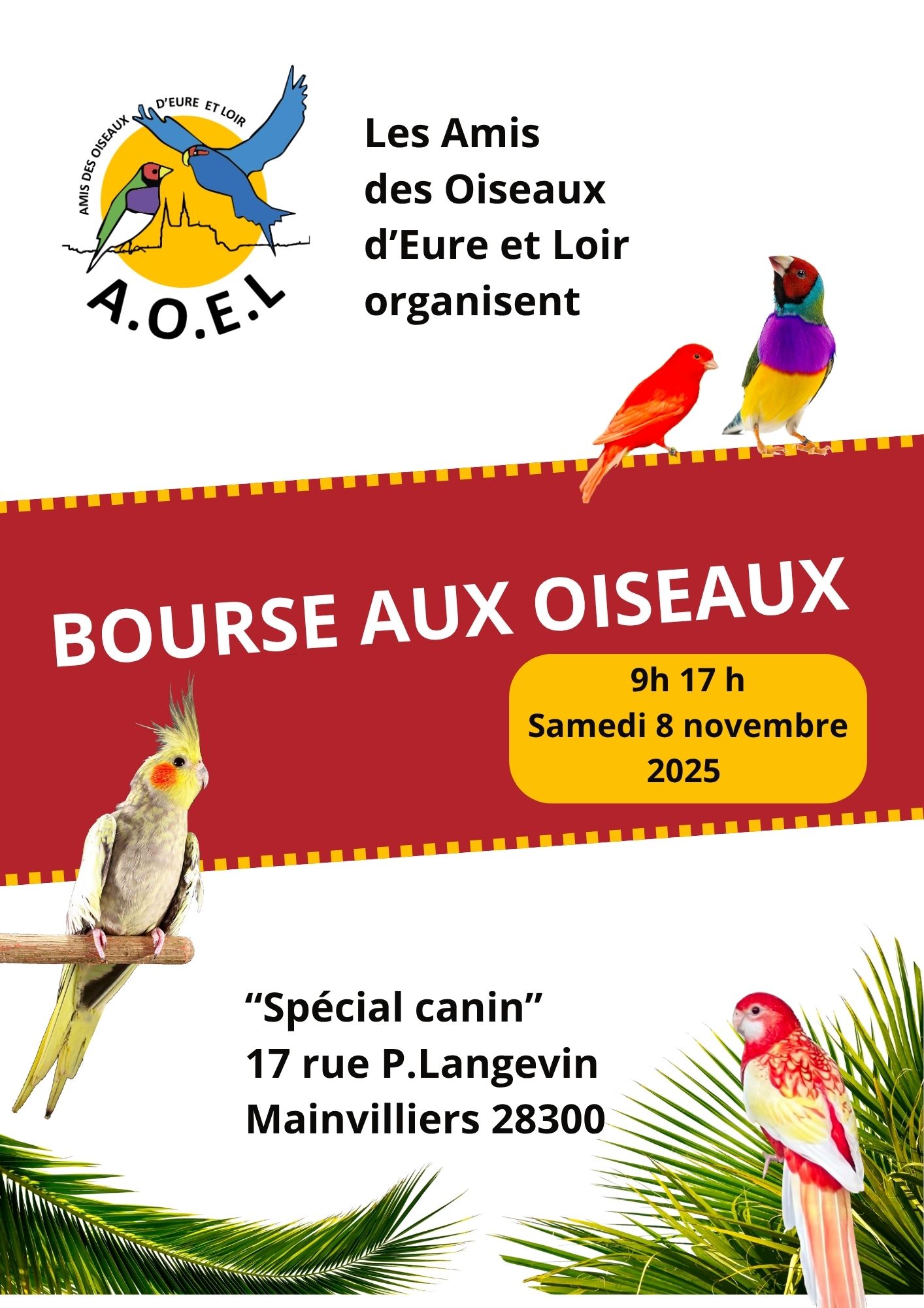 Affiche du concours