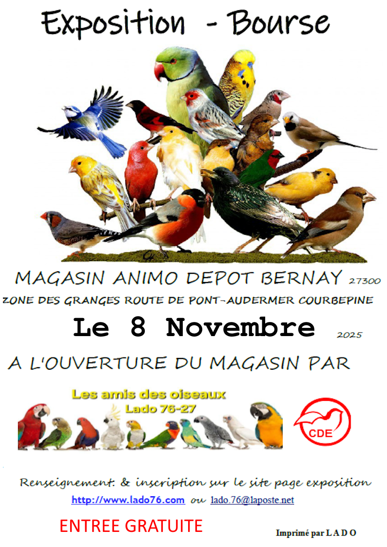 Affiche du concours