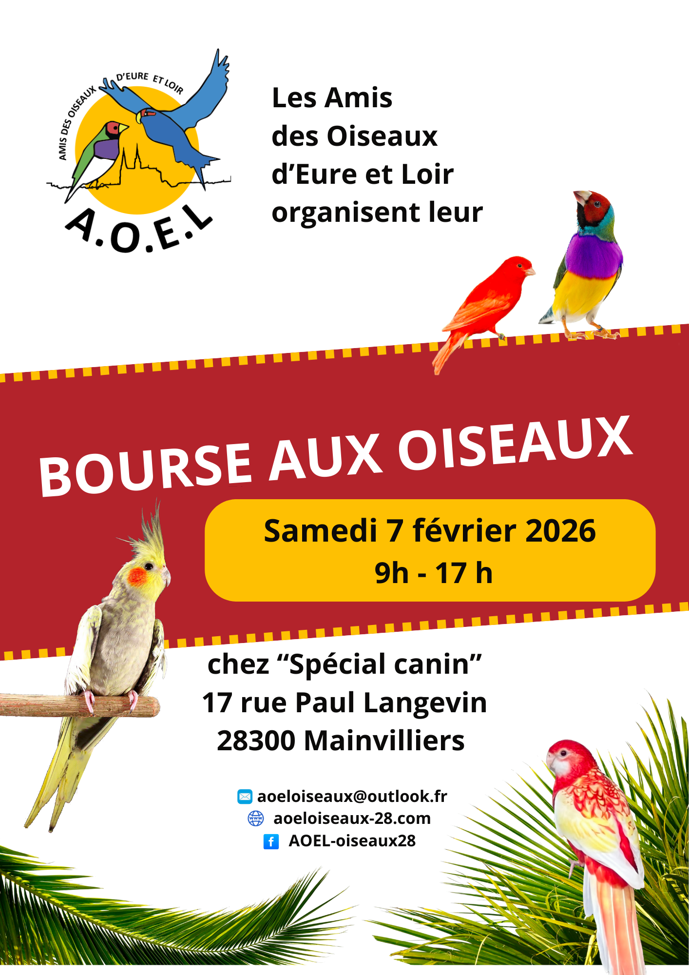 Affiche du concours