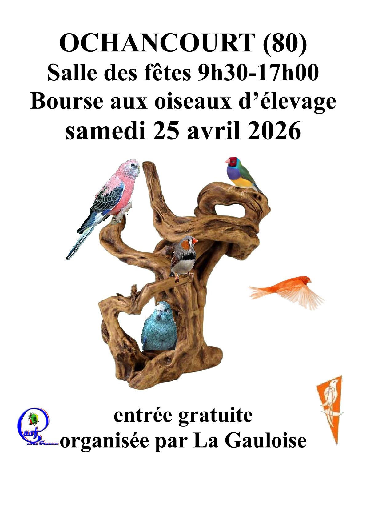 Affiche du concours