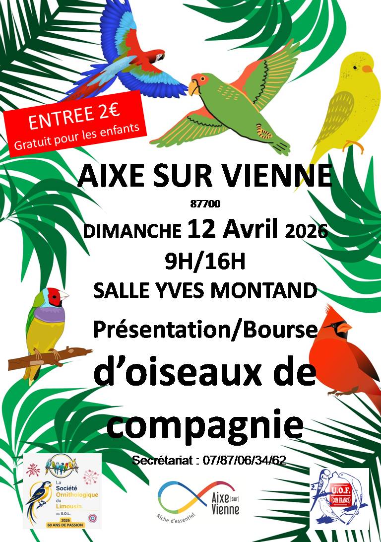 Affiche du concours