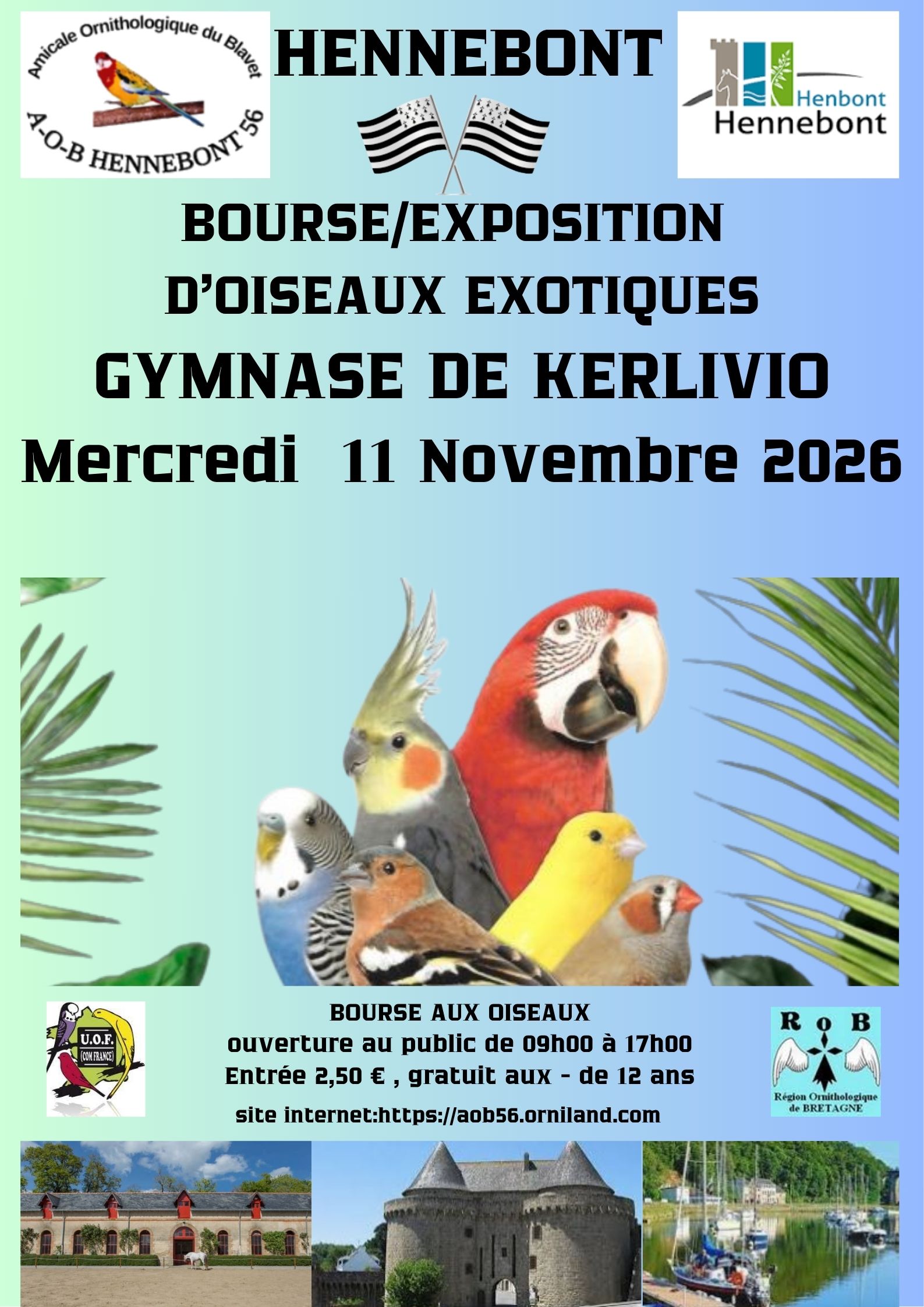 Affiche du concours