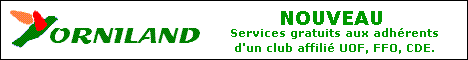 banniere