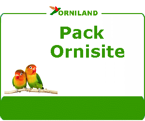 ornisite