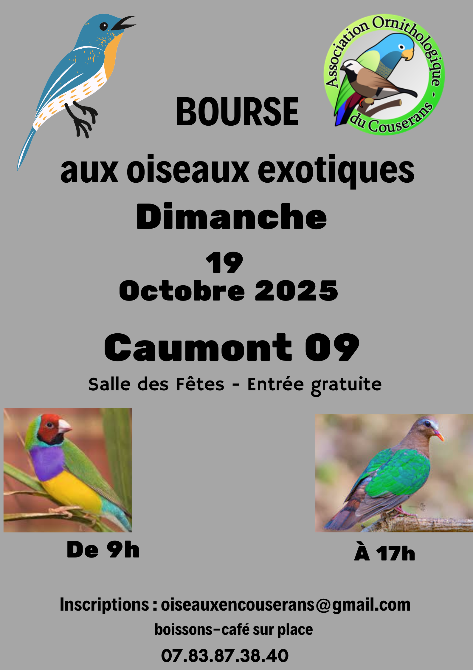 Affiche du concours