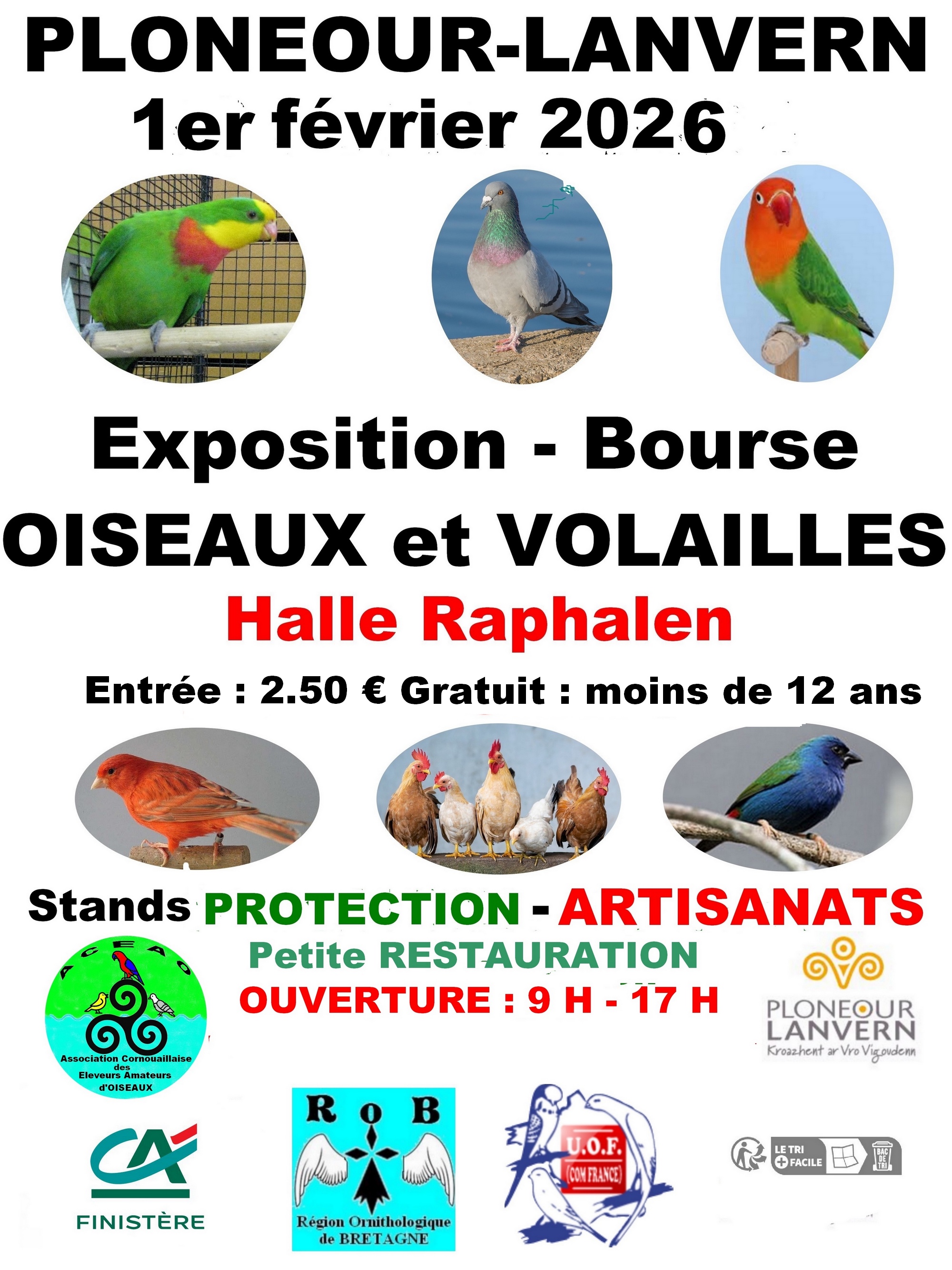 Affiche du concours