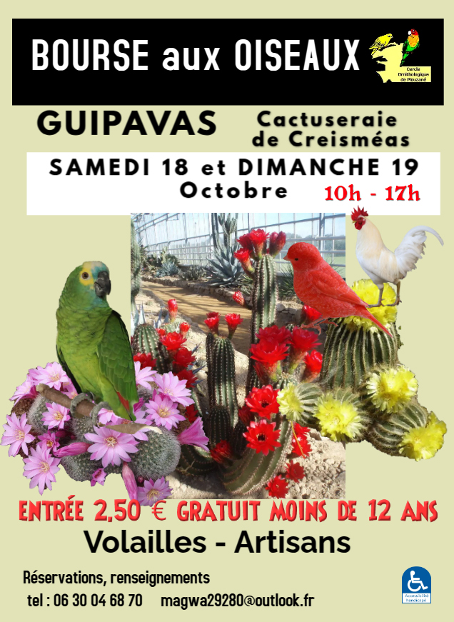 Affiche du concours
