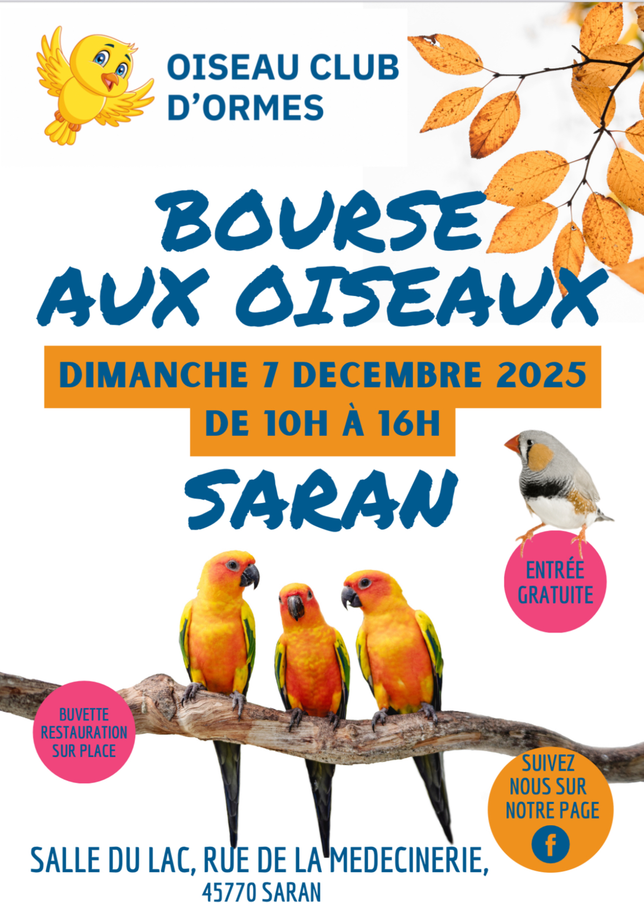 Affiche du concours